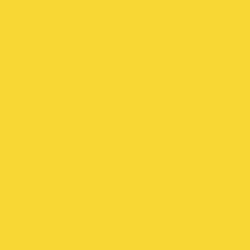 Tru-Color Paint TCP-321 FEC YELLOW 1 OZ