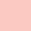 Tru-Color Paint TCP-423 MATTE STUCCO - ROSE