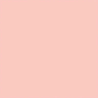 Tru-Color Paint TCP-423 MATTE STUCCO - ROSE