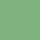 Tru-Color Paint TCP-424 MINT GREEN STUCCO MATTE