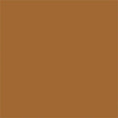 Tru-Color Paint TCP-425 MATTE MUD