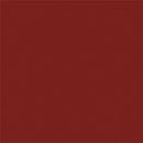 Tru-Color Paint TCP-406 MATTE DARK RUST 1 OZ