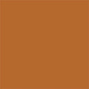 Tru-Color Paint TCP-408 MATTE AGED RUST 1 OZ