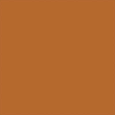 Tru-Color Paint TCP-408 MATTE AGED RUST 1 OZ