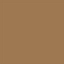 Tru-Color Paint TCP-416 MATTE DARK TAN STUCCO 1OZ