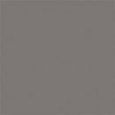 Tru-Color Paint TCP-412 MATTE STEEL 1 OZ