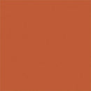 Tru-Color Paint TCP-430 MATTE AGED BRICK