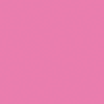 Tru-Color Paint TCP-505 HOT PINK 1OZ