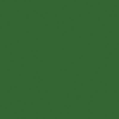 Tru-Color Paint TCP-519 SASSY GRASS GREEN 1OZ