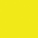 Tru-Color Paint TCP-534 SCHOOL BUS YELLOW 1OZ