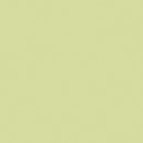Tru-Color Paint TCP-540 LIGHT IVY YELLOW 1OZ