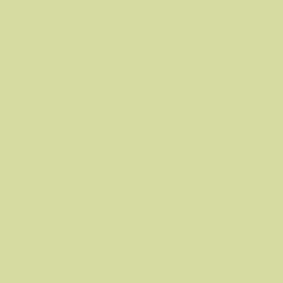 Tru-Color Paint TCP-540 LIGHT IVY YELLOW 1OZ