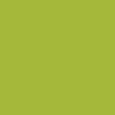 Tru-Color Paint TCP-554 KANDY LIME GREEN 1OZ