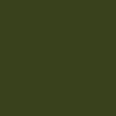 Tru-Color Paint TCP-1213 FS 34079 FOREST GREEN 1OZ