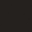 Tru-Color Paint TCP-1001 DULL BLACK