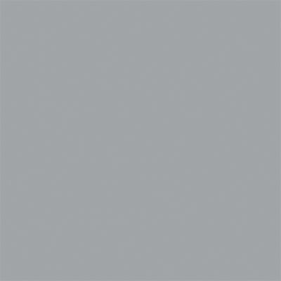 Tru-Color Paint TCP-1042 MODERN HAZE GRAY