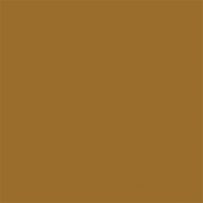 Tru-Color Paint TCP-1417 MATTE EARTH