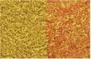 Woodland Scenics 55 Foliage Early Fall Mix