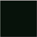 True-Color Railroad Paint TCP-057 NORTHERN PACIFIC DARK GREEN 1oz
