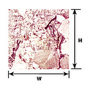 Plastruct 91874 PSP-65 PAPER SHEET ROUGH MARBL