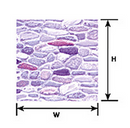 Plastruct 91565 PS-66 2PK FIELD STONE