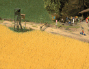Busch Gmbh & Co Kg 1204 Wheat Field -- Kit - 15-1/2 Sq. In.  100 Sq. Cm., HO Scale