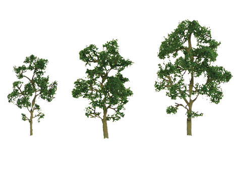 JTT Trees & Shrubs 92058 Maple 6' Prem 1pk, O Scale