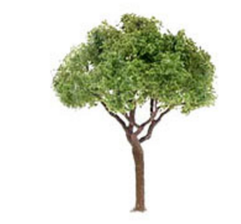 JTT Trees & Shrubs 94283 GREEN JACARANDA 3/4'PRO (6pcs), N/Z Scale
