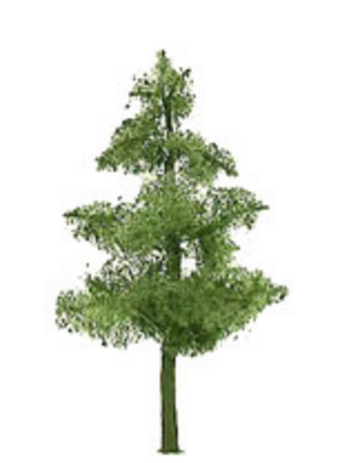 JTT Trees & Shrubs 94293 Pine 3' Pro 3pk, HO