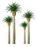 JTT Trees & Shrubs 94351 PHOENIX PALM 1' PRO (6pk), N/Z Scale