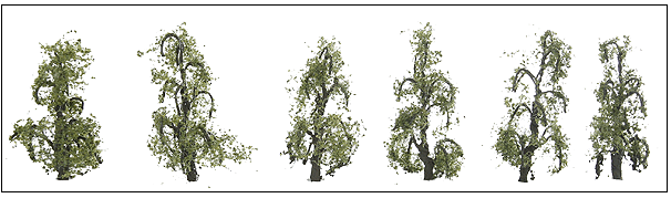 JTT Trees & Shrubs 94415 Birch Trees 1-1/2" 3.8cm pkg(6), N&Z Scale