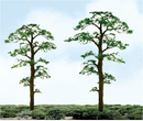 JTT Trees & Shrubs 94432 SCOTS PINE 1'PRO (6pk), N/Z Scale