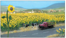 Walthers SceneMaster 949-1119 Sunflower Field -- Kit, HO