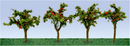 JTT Trees & Shrubs 95517 APPLE SAPLINGS, HO