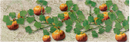 JTT Trees & Shrubs 95531  PUMPKINS 1-3/8', HO