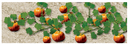 JTT Trees & Shrubs 95532 Pumpkin Plants 2-1/2', O Scale