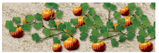 JTT Trees & Shrubs 95532 Pumpkin Plants 2-1/2', O Scale