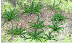 JTT Trees & Shrubs 95533 Fern Plants 5/8" 12/pk, HO