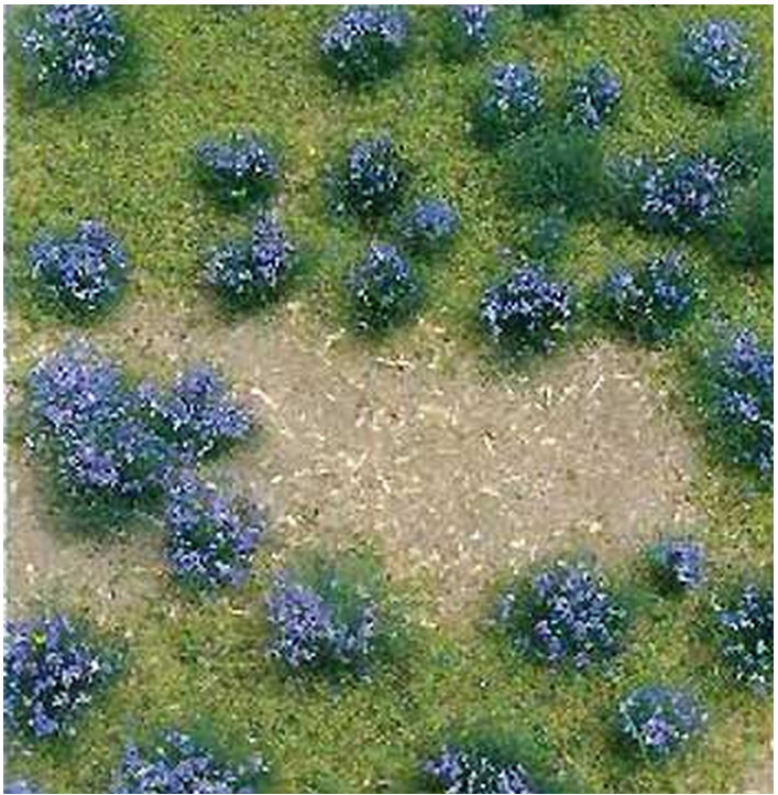 JTT Trees & Shrubs 95606 PURPLE FLOWERING MEADOW 5x7