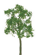 JTT Trees & Shrubs 94423 Ash 2' Pro 4pk, N-scale