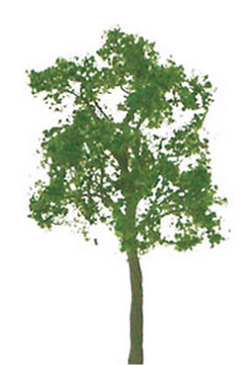 JTT Trees & Shrubs 94423 Ash 2' Pro 4pk, N-scale
