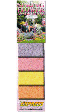 Scenic Express EX0890 SPRING FLOWER ASSORTMENT