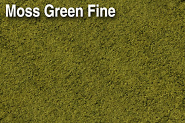 Scenic Express EX822B MOSS GREEN FINE - 32 oz.