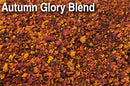 Scenic Express EX871B AUTUMN GLORY BLEND - 32 oz.
