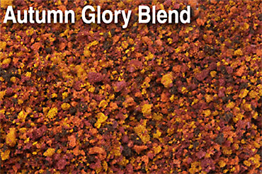 Scenic Express EX871B AUTUMN GLORY BLEND - 32 oz.