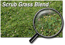 Scenic Express EX882B SCRUB GRASS BLEND - 32 oz.