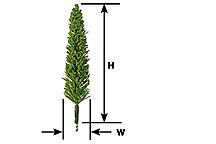 Plastruct 94024 Poplar Trees -- 1-7/8", All Scales