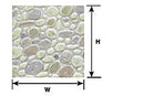 Plastruct 91615 Patterned Sheets - Stone - Random Polished - .020 x 7 x 24" -- .375" Beige Stones, G Scale