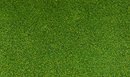 Woodland Scenics WOO49 Blended Turf - 54 Cubic Inches  885 Cubic Centimeters -- Green, All Scales