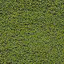 Woodland Scenics WOO145 Bushes Clump-Foliage  18 cu.in. -- Light Green, All Scales